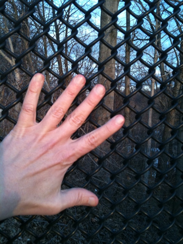 mini mesh size comparison with hand